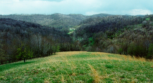 Fairview, WV : Hilltop view of Fairview, WV photo, picture, image (West ...