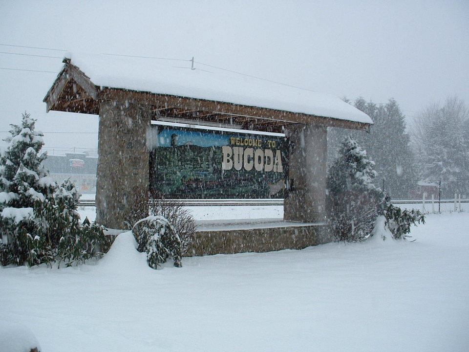 Bucoda, WA: January 2004