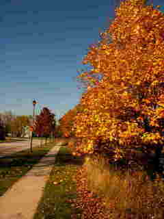Gurnee, IL: A sunny October day in Southridge subdivision