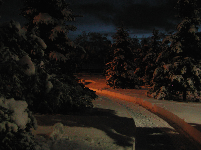 Anchorage, AK: An early morning walk through the snow