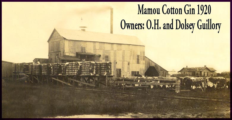 Mamou, LA: 1920 Cotton Gin