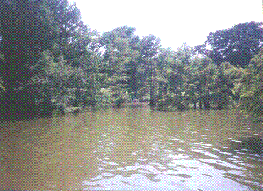 Lake Providence, LA: View Of Lake