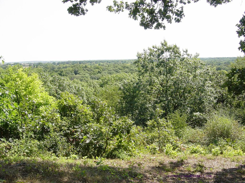 Whitewater, WI: Lone Tree Bluff - The View