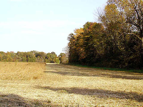 Orestes, IN: Fall scene at the edge of town