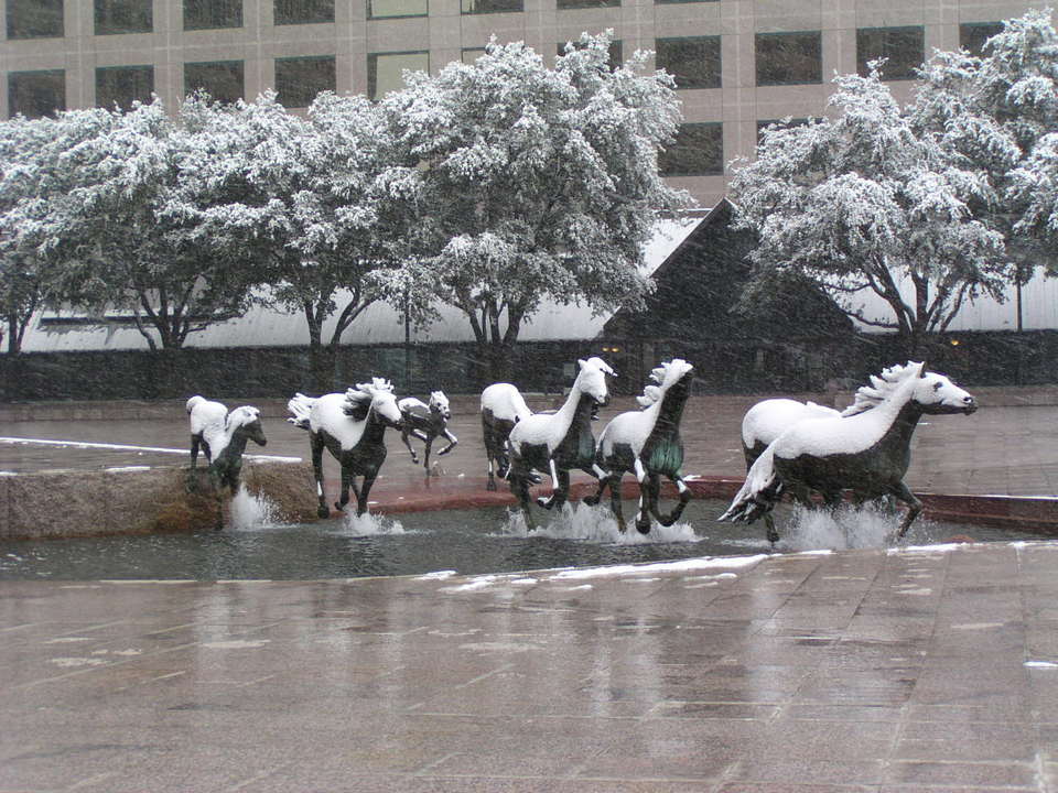 Irving, TX: Mustangs at Las Colinas During Snowstorm of February 14, 2004