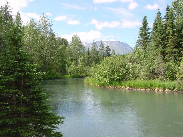 Anchorage, AK: Quartz Creek - 80 miles south of Anchorage, AK