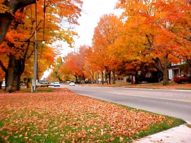 Lakeview, MI: View of Lincoln Ave. in the fall