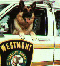 Westmont, IL: Retired Westmont Police Dog