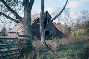Bloomfield, MO: old barn