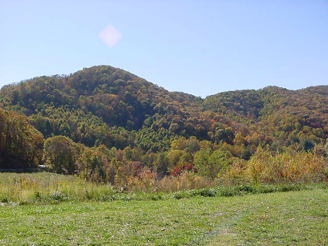 Erwin, TN: Fall Colors on a mountain in Erwin Tennessee