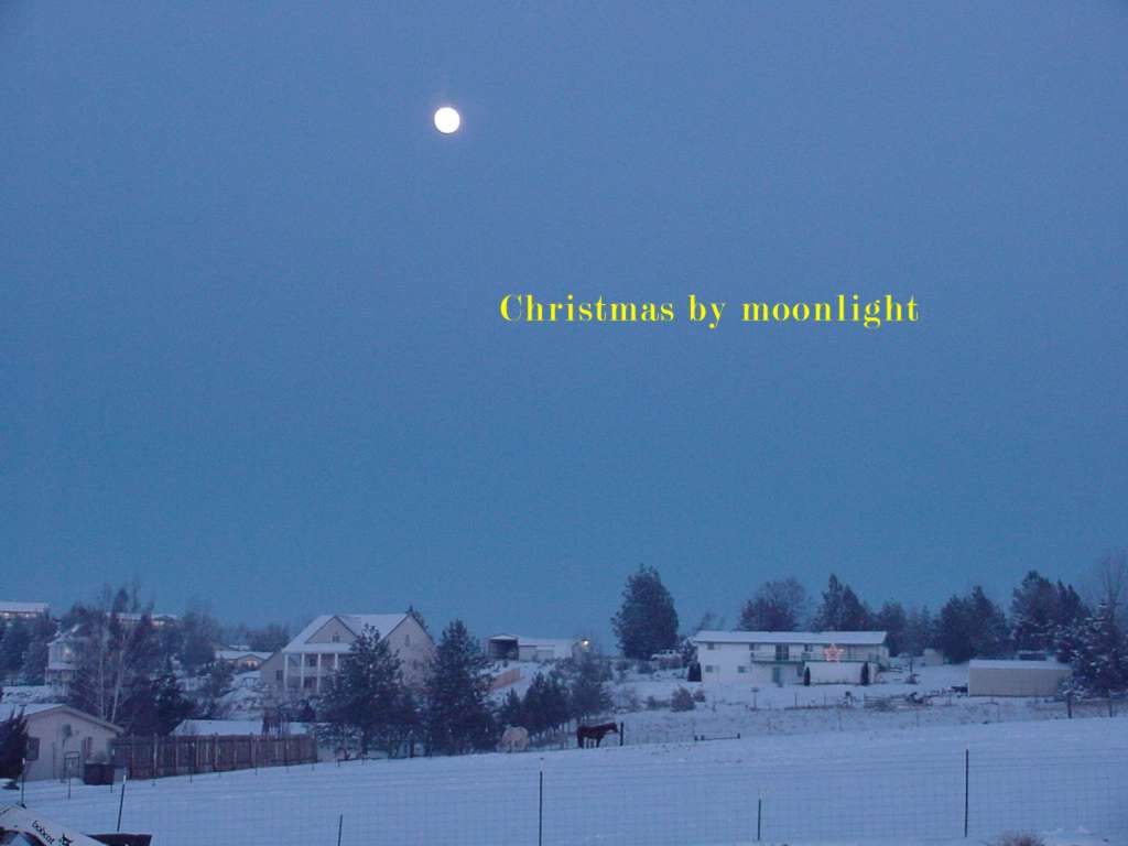 Madras, OR: Christmas by Moon Light 2001