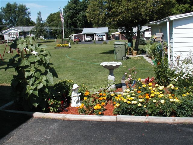 Norfolk, NY: Beautiful flower garden at my parents home