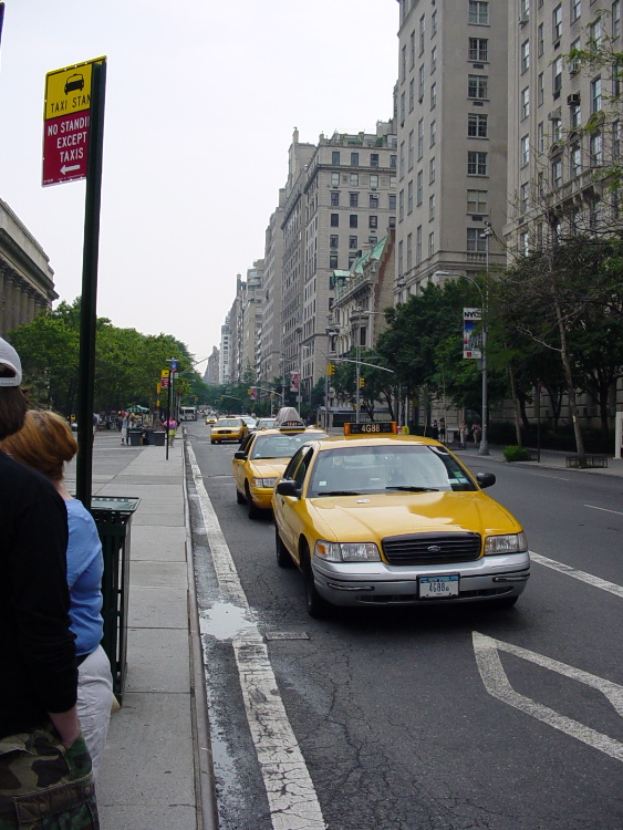 New York, NY: Taxi cabs, the dominant lifeform of New York City