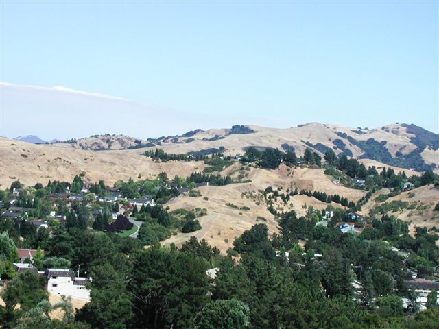 Moraga, CA: Taken from a hill of Moraga, CA