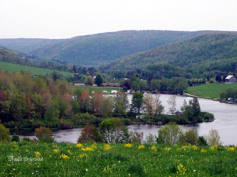 Dushore, PA: Saxes Pond near the town of Dushore, PA