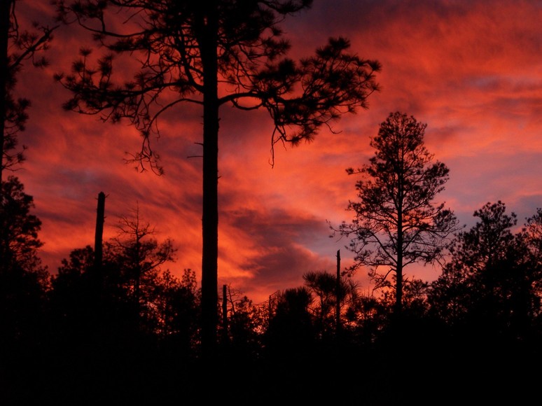 Timberon, NM Timberon's Glorious Sunset Dec 22 2005 photo, picture, image (New Mexico) at city