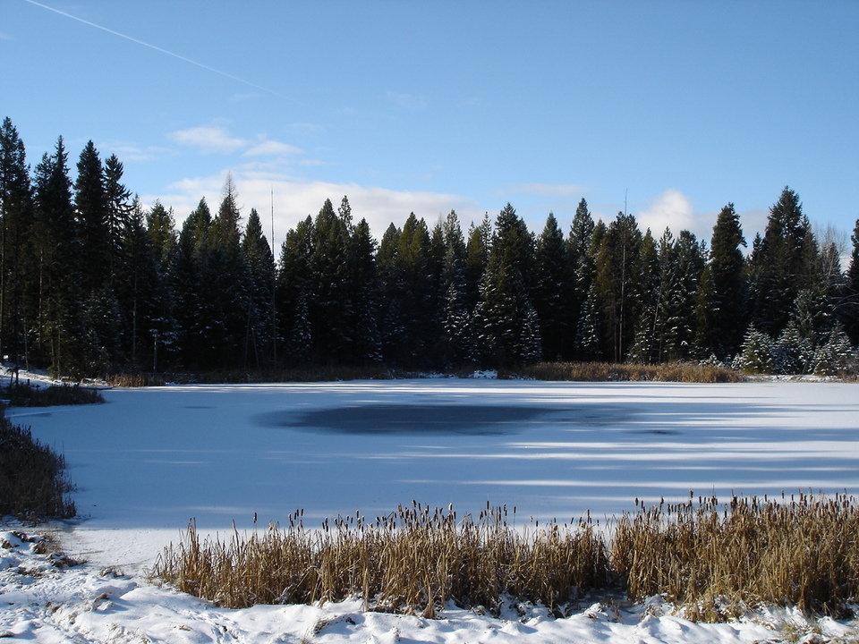 Seeley Lake, MT: Seeley Lake, MT Frozen pond on Grandview Dr