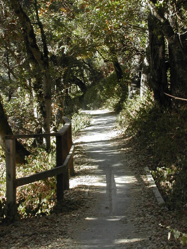 Woodside, CA: Kings Mountain Road Trail