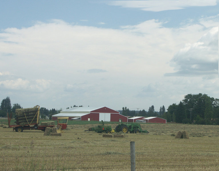 Hayden, ID: Hayfield, West Hayden