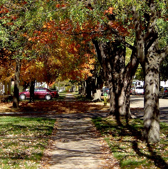 Richland Center, WI: Autumn in Richland Center is the best time of year. A canopy of color drapes our beautiful city.