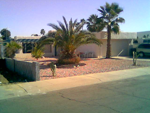Phoenix, AZ: phx landscape -no grass