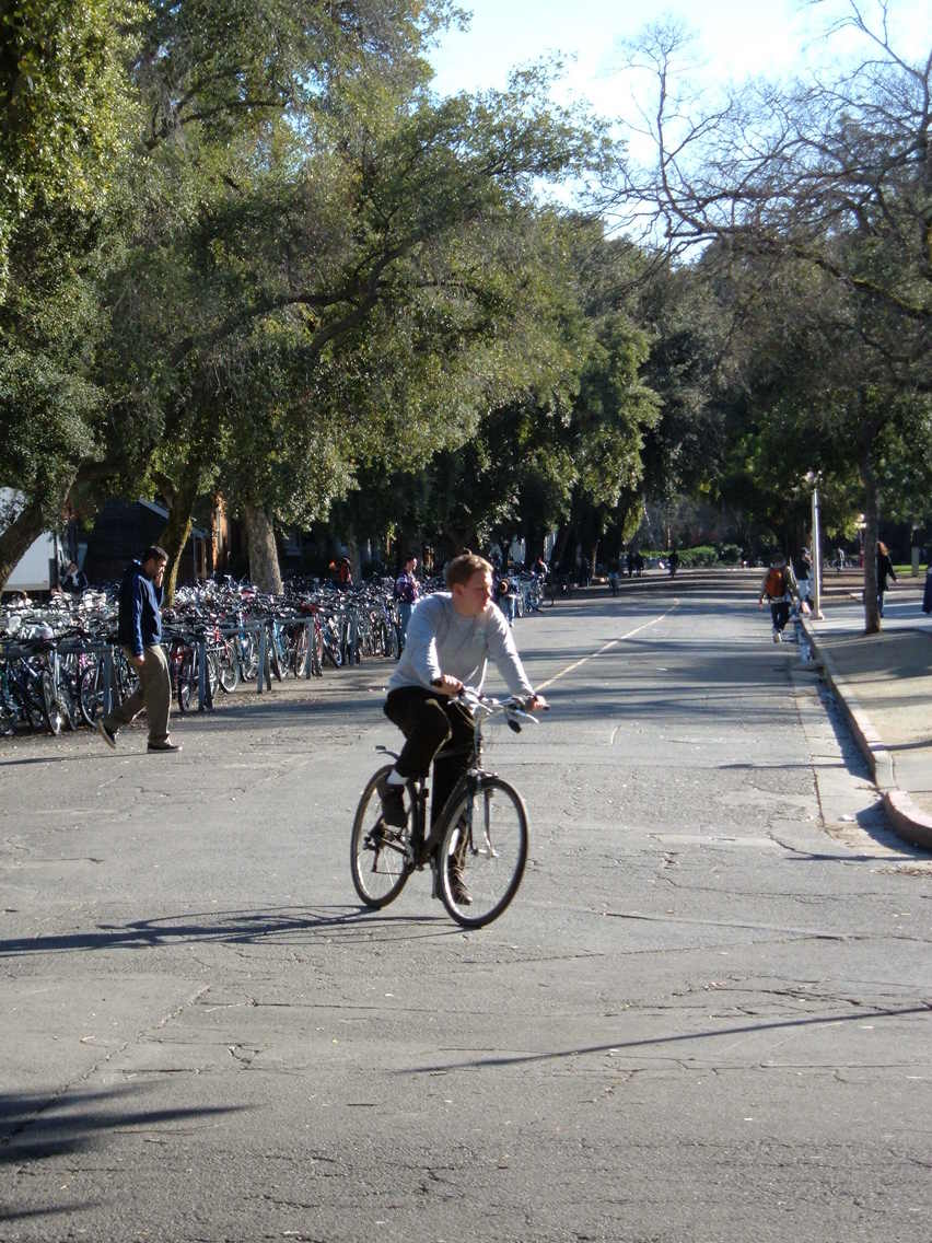 Davis, CA: bikes