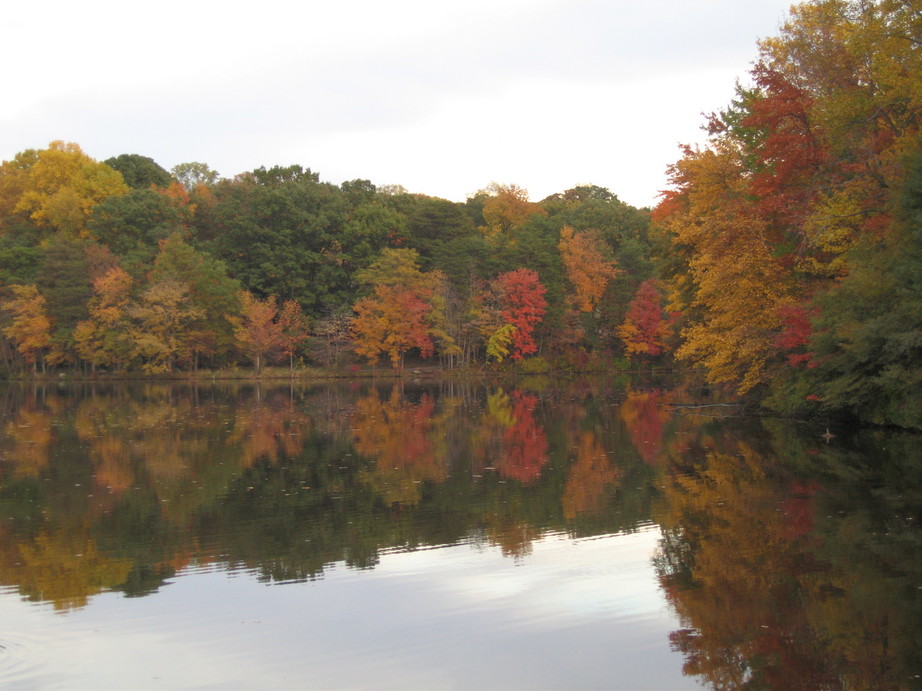 Greenbelt, MD: Greenbelt lake during the fall