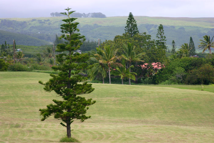 Naalehu, HI: golf course at Discovery Harbour