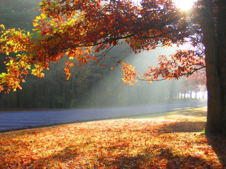 Wellington, OH: Findley State Park in Autumn