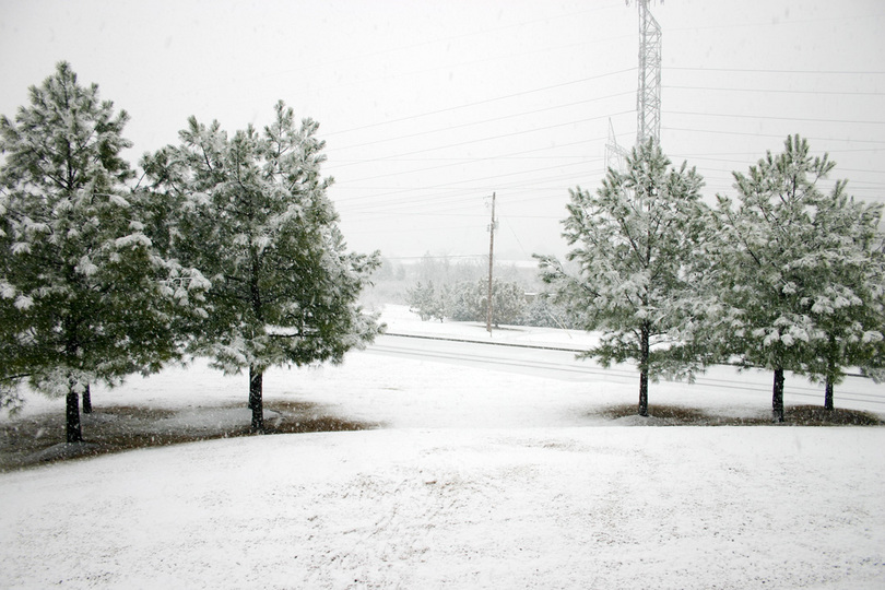Germantown, TN TN Snow, Feb 10, 2003 photo, picture, image (Tennessee