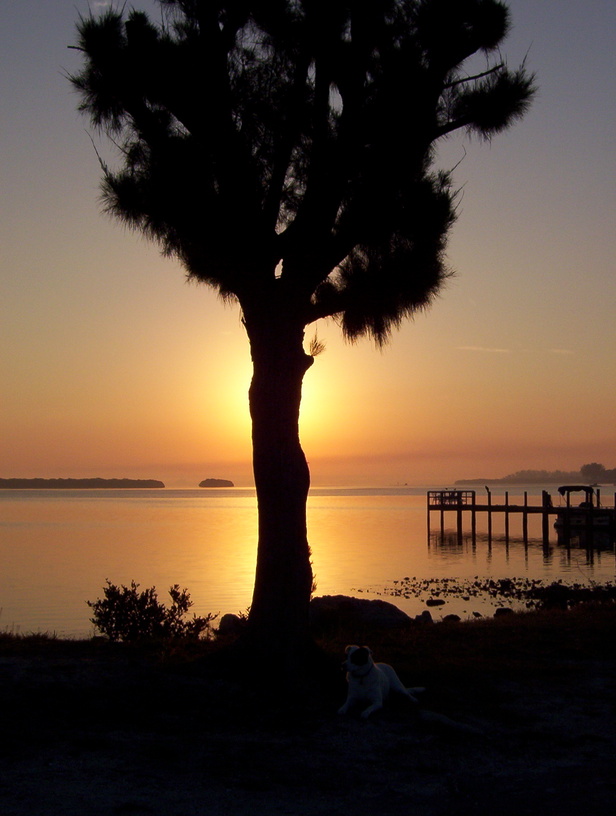 Bradenton Beach, FL: Sunrise over Runaway Bay, Bradenton Beach, FL - on Anna Maria Island, 2003