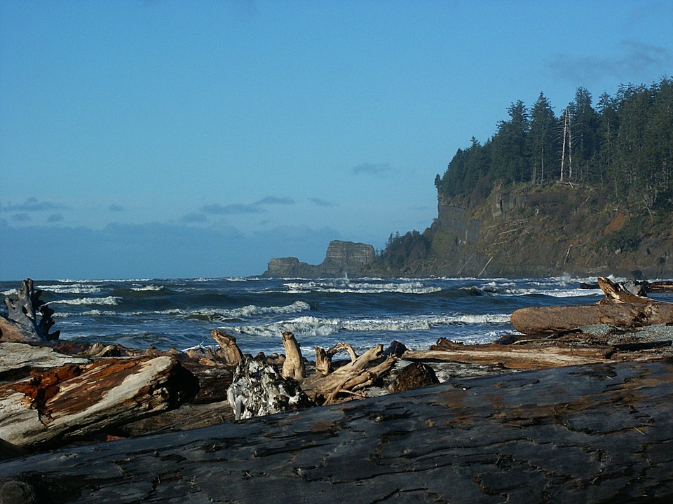 Taholah, WA: View of Cape Elizabeth from where the river meets the see in Tahola, WA