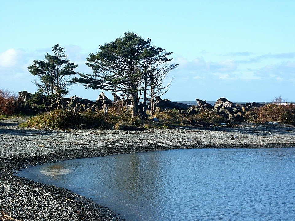 Taholah, WA: Lagoon near where the river meets the sea in Taholah, WA