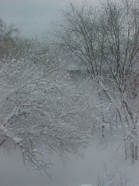 Perry Hall, MD: SNOW STORM IN PERRY HALL, MARYLAND