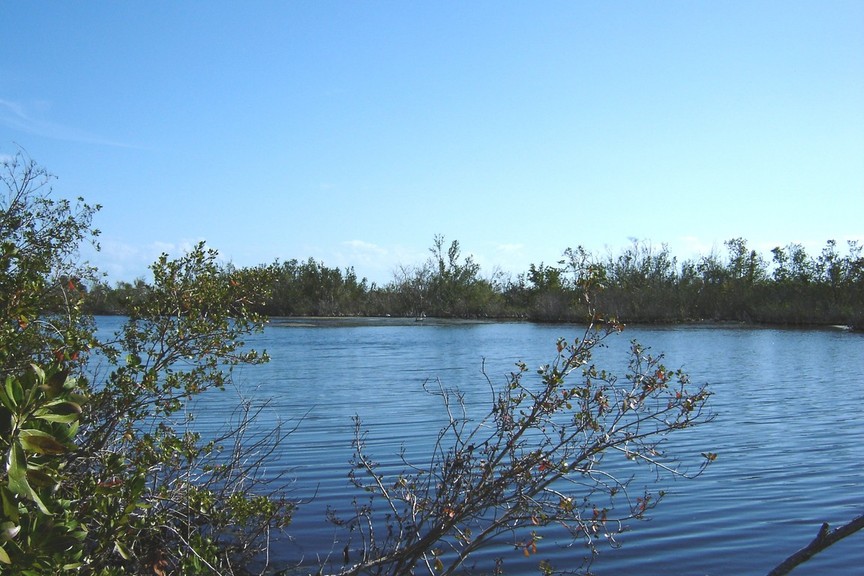 Sanibel, FL: Sanibel Island waterway at Bowman's Beach