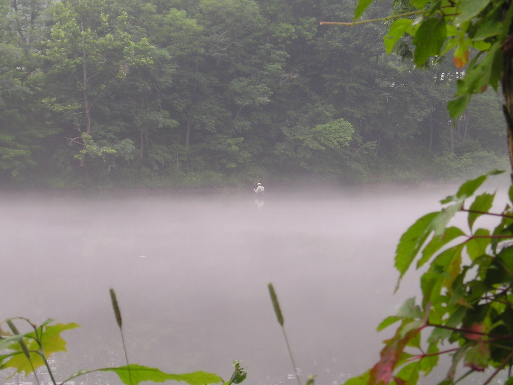 Barkhamsted, CT: Fisherman on the Farmington River on a summer day
