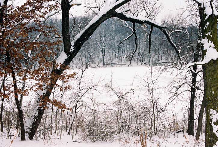Minnetonka, MN: Small lake at a park in Minnetonka after a Minnesota snow