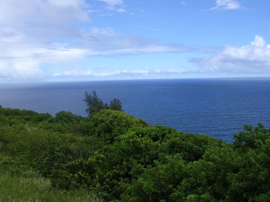 Hawaiian Paradise Park, HI: view from HP