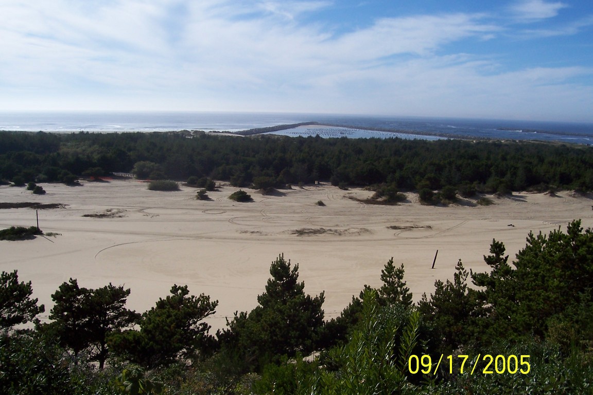 Winchester Bay, OR: Winchester Bay Dunes