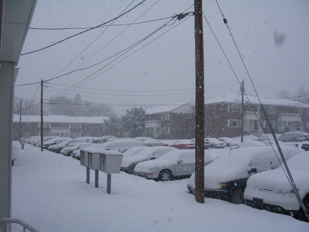 East Rutherford, NJ: snowfall !