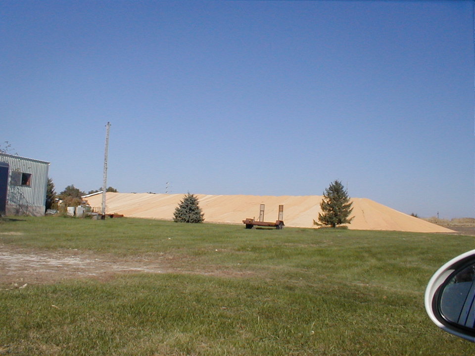 Blairsburg, IA Farmer's Gold August Harvest photo, picture, image