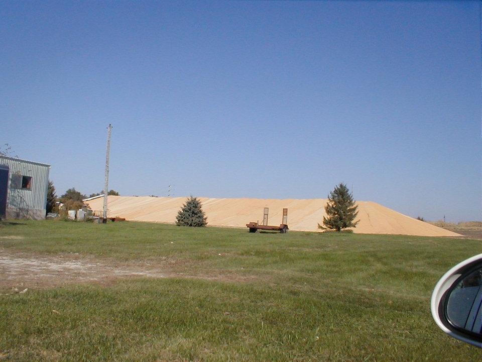 Blairsburg, IA: Farmer's Gold - August Harvest