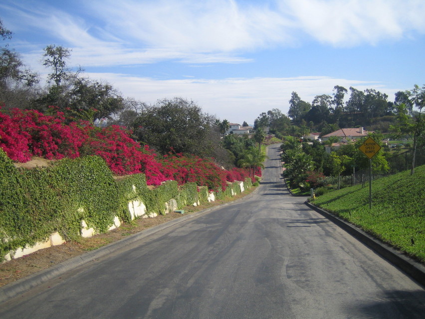 Escondido, CA: Street in Escondido. Photo made 11/02/2005