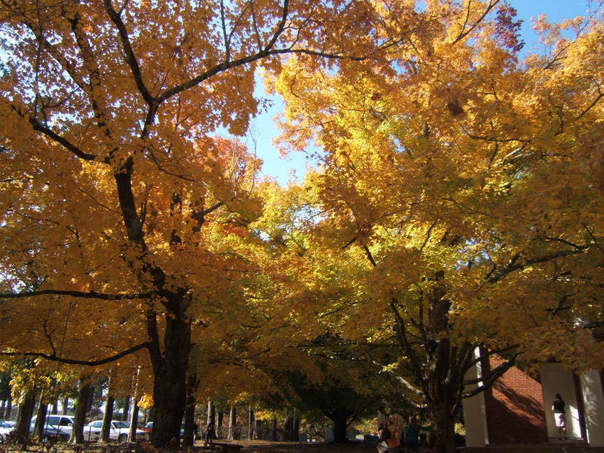 Oxford, MS: Autumn