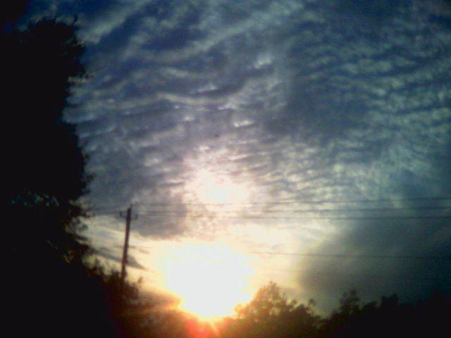 Ozark, AL: a sunset near campground rd ozark, alabama