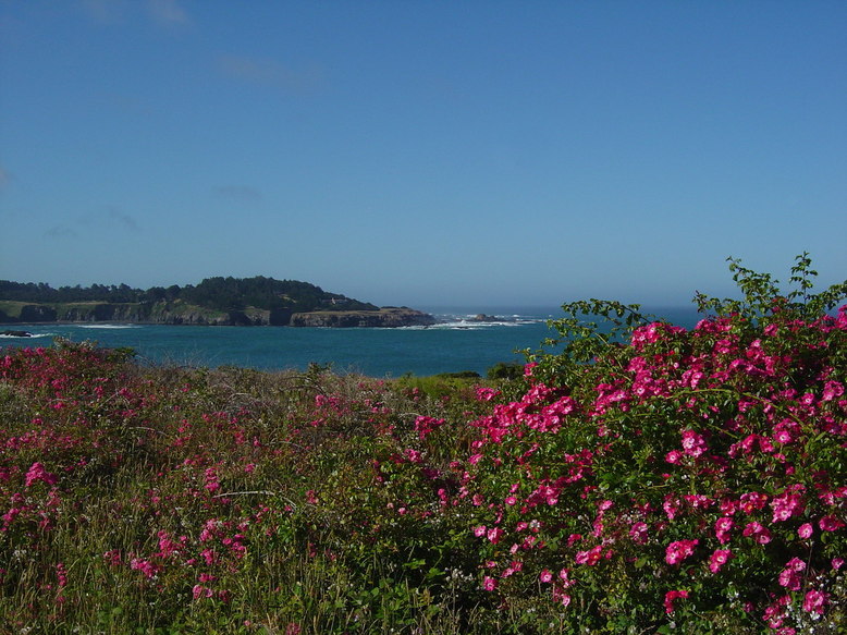 Mendocino, CA: OVER LOOKING THE CLIFF