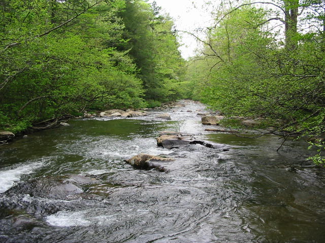 Tellico Plains, TN : Tellico River, Tellico Plains, Tn photo, picture ...