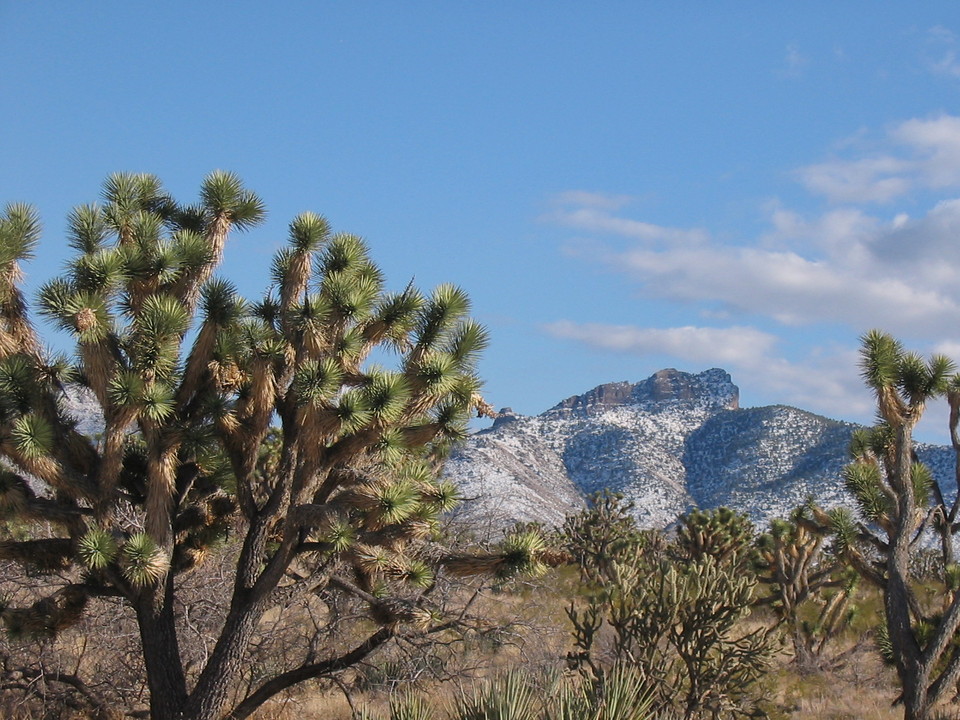 Dolan Springs, AZ Pierce Ferry Road in Dolan Springs, AZ First