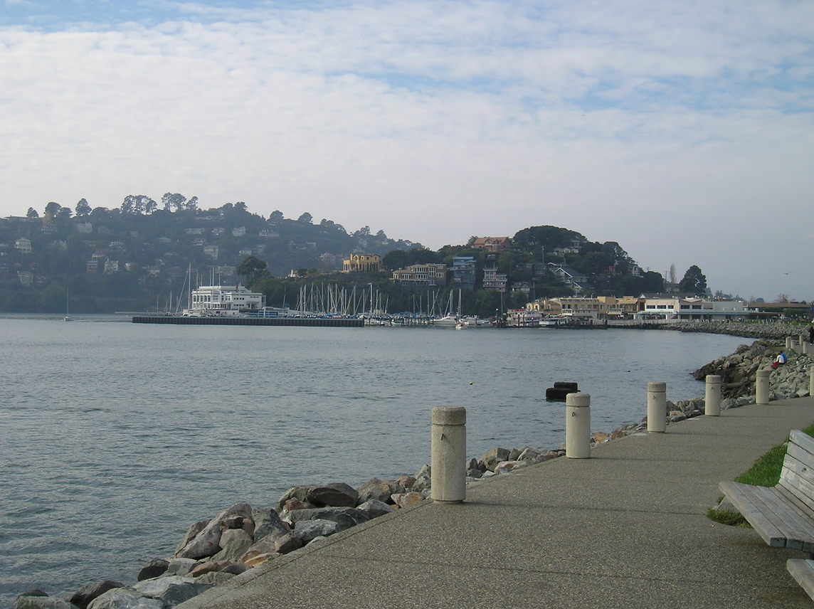 Tiburon, CA: Tiburon, with the waterfront in the background