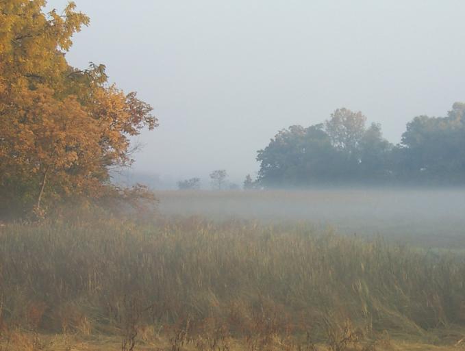 Pell Lake, WI: A Foggy Morning Across The Street